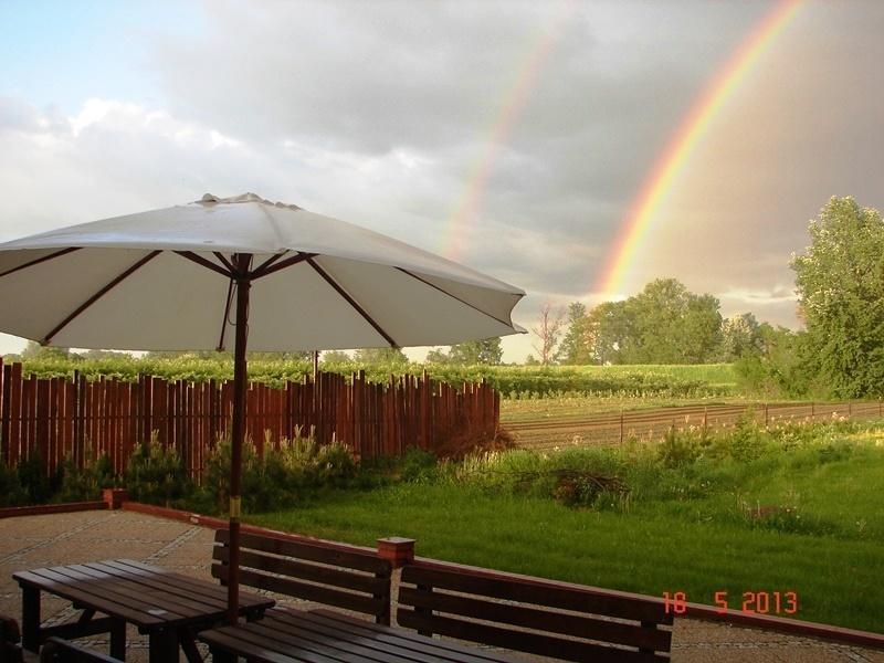 Gościniec Koćmierzów Sandomierz Exterior foto